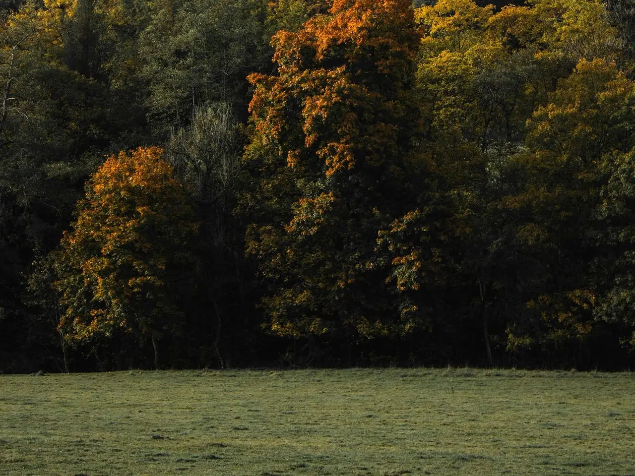 Quadrijden-belgische-ardennen Quadrijden-belgische-ardennen